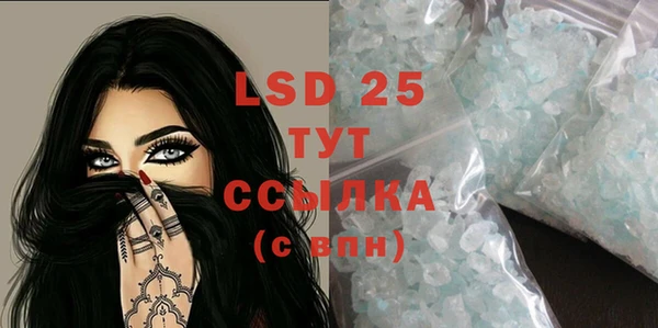 стафф Аркадак