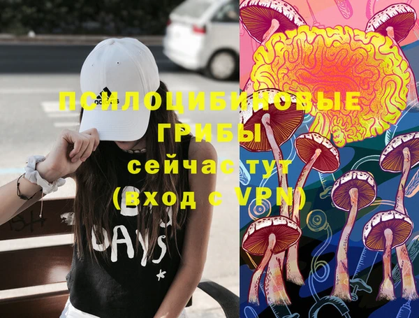 стафф Аркадак