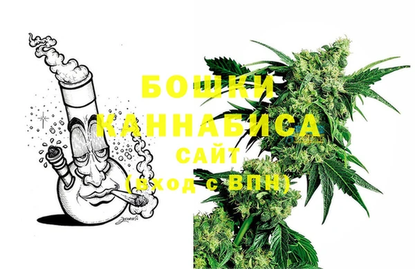стафф Аркадак