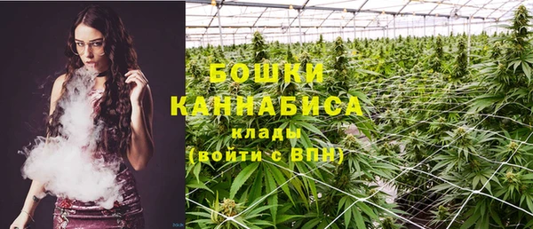 стафф Аркадак